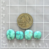 Medium Sky Blue Freeform Bamboo Mountain Turquoise, Set of 4 Dimensions