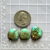 Medium Sea Green Freeform Number 8 Turquoise, Set of 3 Dimensions