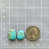 Medium Sky Blue Freeform Number 8 Turquoise, Set of 2 Dimensions