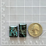 Large Sky Blue Bar Blue Moon Turquoise, Set of 2 Dimensions