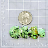 Large Mint Green Half Moon Yungai Turquoise, Set of 4 Dimensions