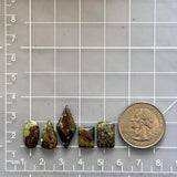 Small Earth Brown Mixed Treasure Mountain Turquoise, Set of 5 Dimensions