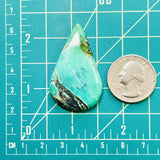 Large Sea Green Teardrop Crescent Lake Variscite Dimensions