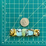 Medium Mixed Barrel Mixed Turquoise, Set of 5 Dimensions