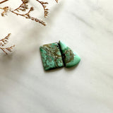Medium Lime Green Mixed Treasure Mountain Turquoise, Set of 2 Background