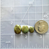 Medium Earth Brown Freeform Treasure Mountain Turquoise, Set of 3 Dimensions