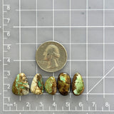 Small Mint Green Mixed Royston Turquoise, Set of 5 Dimensions