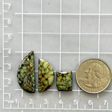 Small Bamboo Green Mixed Bamboo Mountain Turquoise, Set of 3 Dimensions