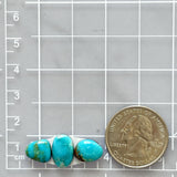 Small Sky Blue Freeform Kingman Turquoise, Set of 3 Dimensions