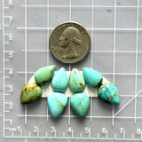 Small Mixed Teardrop Kingman Turquoise, Set of 8 Dimensions