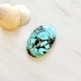 Large Sky Blue Oval Wild Horse Turquoise Background