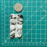 Medium Mixed Mixed White Buffalo Dolomite, Set of 10 Dimensions