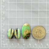 Large Sea Green Oval Crescent Lake Variscite, Set of 3 Dimensions