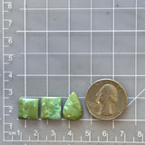 Small Sea Green Mixed Treasure Mountain Turquoise, Set of 3 Dimensions