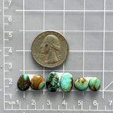 Small Mixed Mixed Tyrone Turquoise, Set of 6 Dimensions