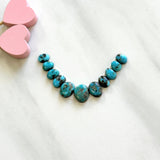 Small Sky Blue Mixed Lone Mountain Turquoise, Set of 11 Background