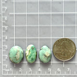 Medium Faint Green Mixed Broken Arrow Variscite, Set of 3 Dimensions