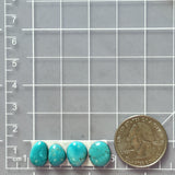 Small Sky Blue Freeform Pilot Mountain Turquoise, Set of 4 Dimensions