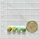 Small Sky Blue Oval Broken Arrow Variscite, Set of 4 Dimensions