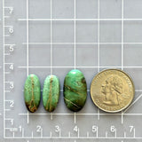 Medium Mint Green Oval Crescent Lake Variscite, Set of 3 Dimensions