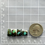 Small Sea Green Mixed Treasure Mountain Turquoise, Set of 4 Dimensions