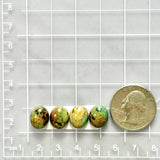 Small Sea Green Oval Broken Arrow Variscite, Set of 4 Dimensions