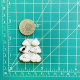 Small White Mixed White Buffalo Dolomite, Set of 6 Dimensions