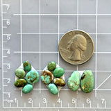Small Mint Green Freeform Lone Mountain Turquoise, Set of 12 Dimensions