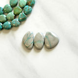 Medium Faint Green Freeform Royston Turquoise, Set of 3 Background