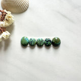 Small Bamboo Green Freeform Bamboo Mountain Turquoise, Set of 5 Background