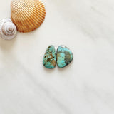 Medium Faint Green Mixed Carico Lake Turquoise, Set of 2 Background