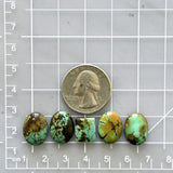 Small Mixed Mixed Treasure Mountain Turquoise, Set of 5 Dimensions