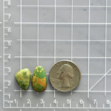 Small Lime Green Mixed Royston Turquoise, Set of 2 Dimensions