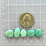 Small Sky Blue Freeform Pilot Mountain Turquoise, Set of 5 Dimensions