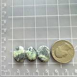 Small Faint Green Freeform Crescent Lake Variscite, Set of 3 Dimensions