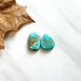 Medium Sky Blue Freeform Royston Turquoise, Set of 2 Background