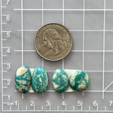 Small Deep Blue Mixed Fox Turquoise, Set of 4 Dimensions