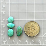 Small Sky Blue Freeform Mixed Turquoise, Set of 4 Dimensions