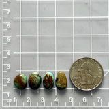 Small Sea Green Mixed Tyrone Turquoise, Set of 4 Dimensions