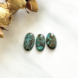 Medium Sea Green Oval Wild Horse Turquoise, Set of 3 Background