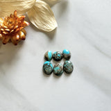 Small Sky Blue Mixed Sonora Turquoise, Set of 6 Background