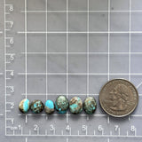 Small Sky Blue Mixed Sonora Turquoise, Set of 6 Dimensions