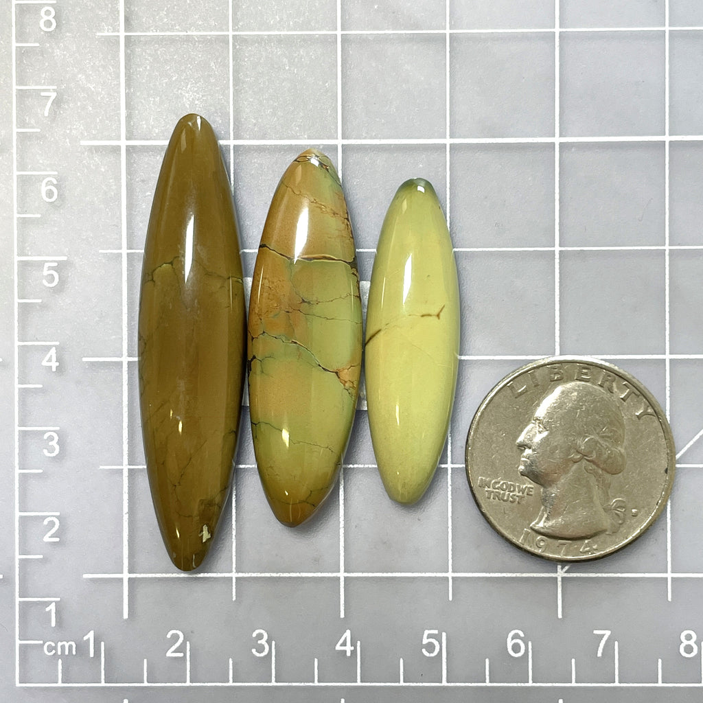 標本 Uruguay Thronistes rouxi 31mm Large Earth Brown Surfboard Crescent Lake Variscite, Set of 3