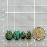 Small Sea Green Mixed Number 8 Turquoise, Set of 4 Dimensions