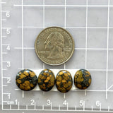 Small Earth Brown Mixed Treasure Mountain Turquoise, Set of 4 Dimensions