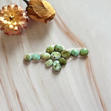 Small Lime Green Mixed Sonoran Gold Turquoise, Set of 12 Background