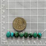 Small Ocean Blue Mixed Fox Turquoise, Set of 8 Dimensions