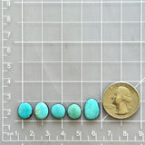Small Sky Blue Freeform Kingman Turquoise, Set of 5 Dimensions