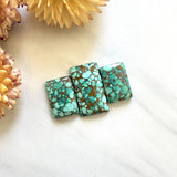 Medium Sea Green Bar Namtso Lake Turquoise, Set of 3 Background
