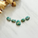 Small Deep Green Mixed Fox Turquoise, Set of 5 Background